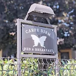 Carpe Diem Rosà