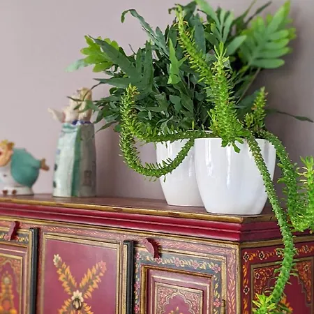 卡佩蒂姆住宿加早餐旅馆 Rosà