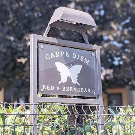 Carpe Diem Rosà