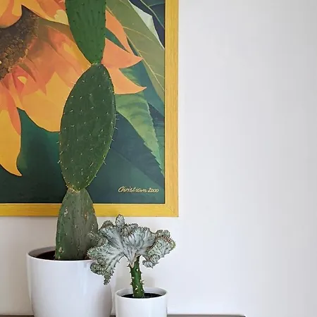 卡佩蒂姆住宿加早餐旅馆 Rosà